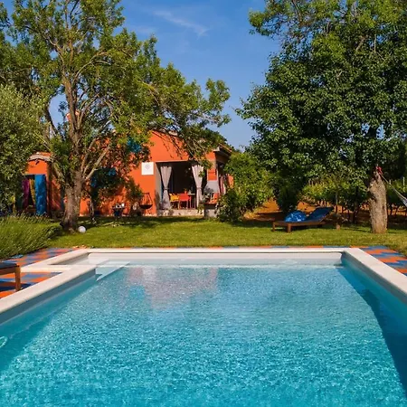 Lunge Holiday home *